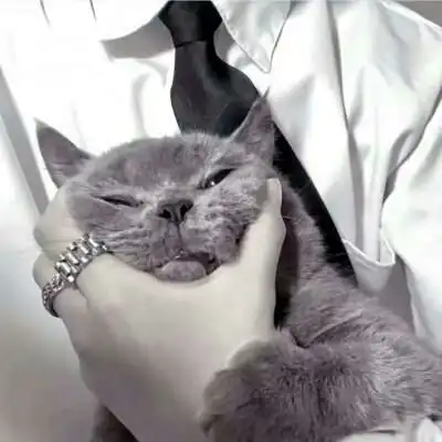 Q版动漫人物猫系男头像图片