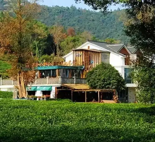 70后文艺大叔,用6年建400㎡院子,每天喝茶做饭,潇洒生活
