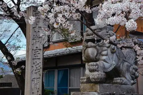 河口湖与富士山超美的日本景色,一辈子一定要来一次

